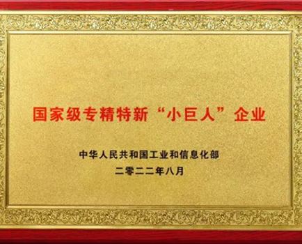 國家級專精特新“小巨人”