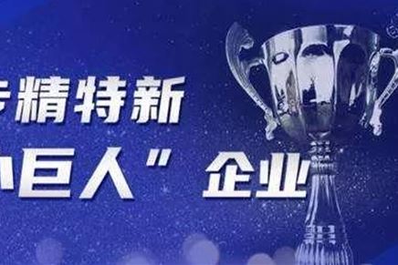 公司獲江蘇省“專精特新小巨人”榮譽(yù)稱號(hào)