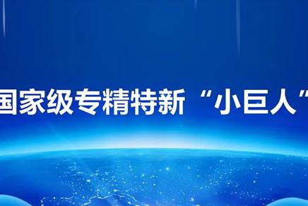 我司榮獲“專精特新小巨人”榮譽(yù)稱號(hào)，彰顯創(chuàng)新實(shí)力與卓越品質(zhì)